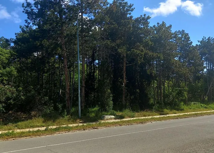 Sea Sirena With A Mountain View Apartamento *
